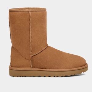 Classic Short II Chesnut Ugg Boots